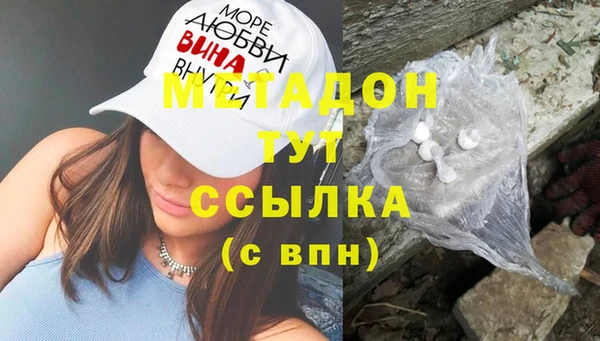 прущие грибы Магадан