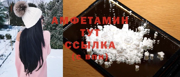 прущие грибы Магадан