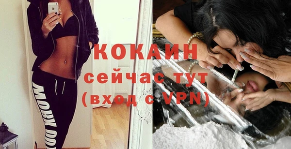прущие грибы Магадан