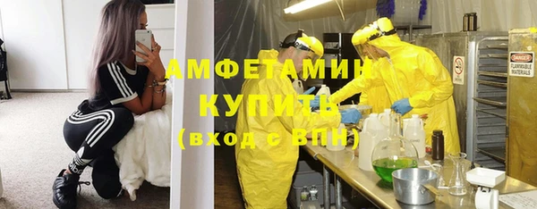 прущие грибы Магадан
