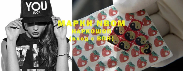 прущие грибы Магадан