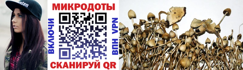 Галлюциногенные грибы прущие грибы  купить наркоту  Хабаровск 